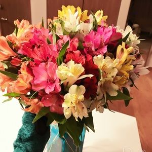 Meet your Posher, Fatima